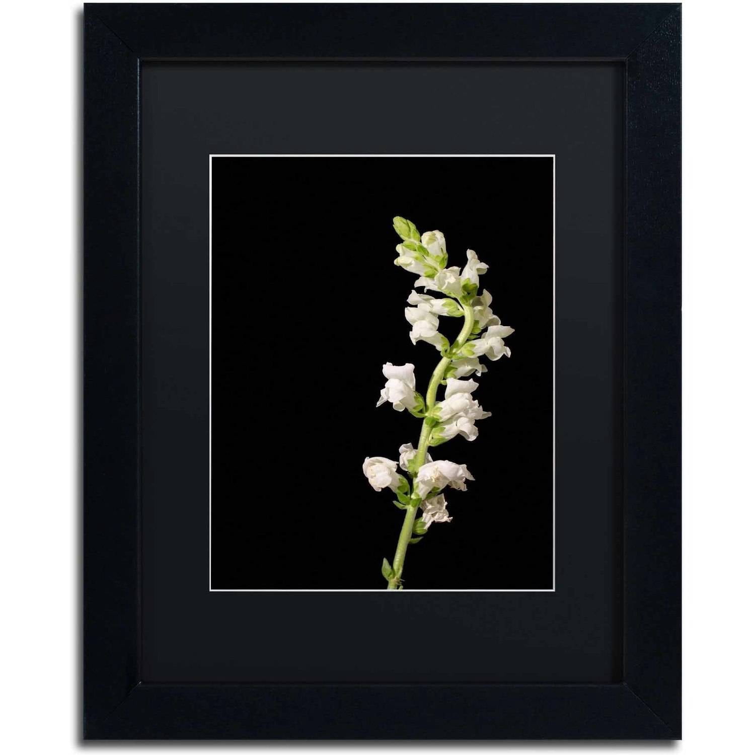 Trademark Fine Art 'White Snapdragons' Canvas Art by PIPA Fine Art, Black Matte, Black Frame