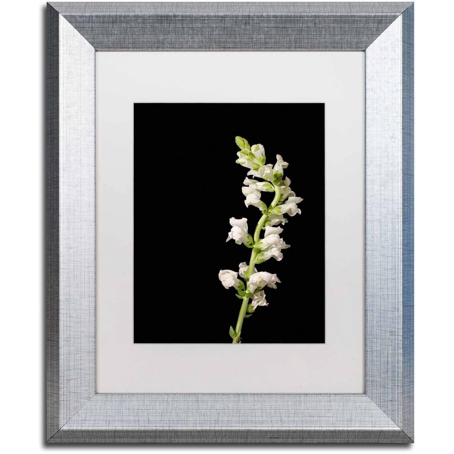 Trademark Fine Art 'White Snapdragons' Canvas Art by PIPA Fine Art, White Matte, Silver Frame