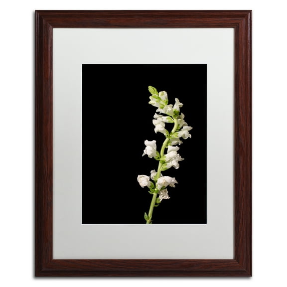 Trademark Fine Art 'White Snapdragons' Matted Framed Art by PIPA Fine Art