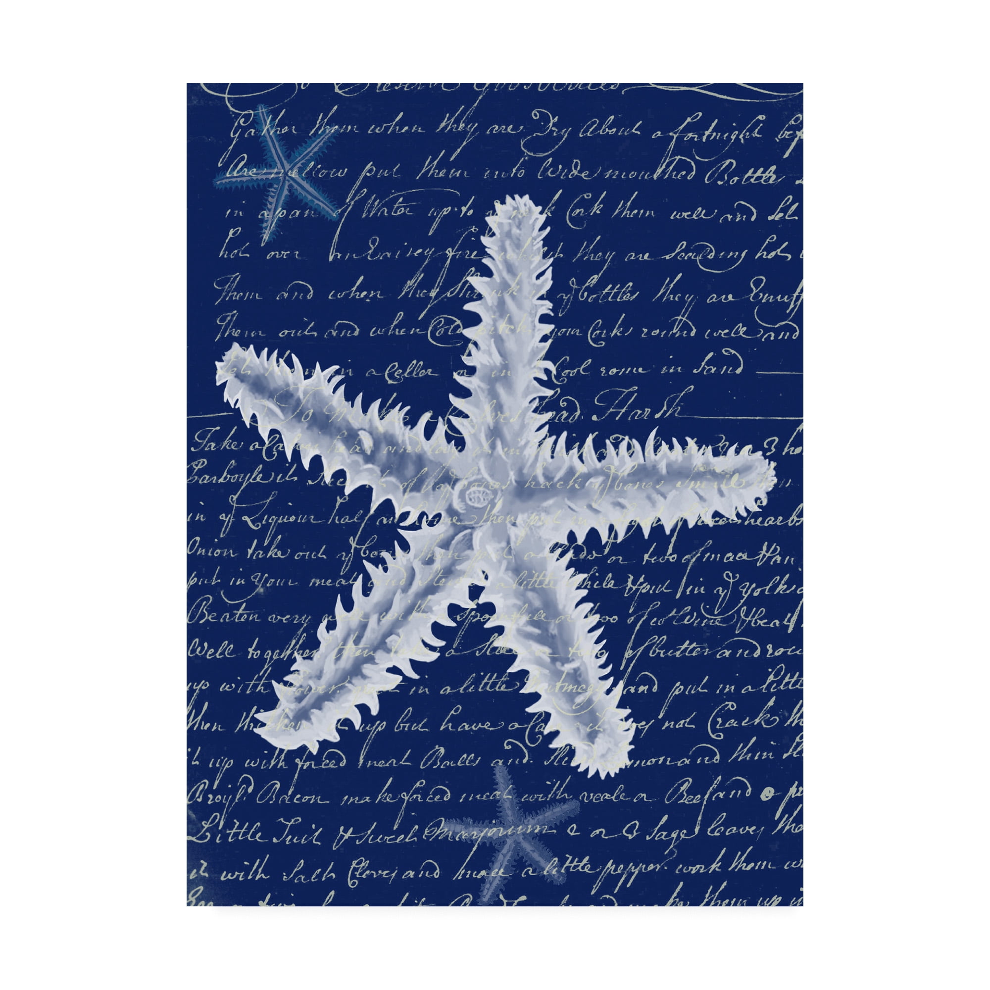 Trademark Fine Art 'White Starfish On Blue B' Canvas Art by Fab Funky