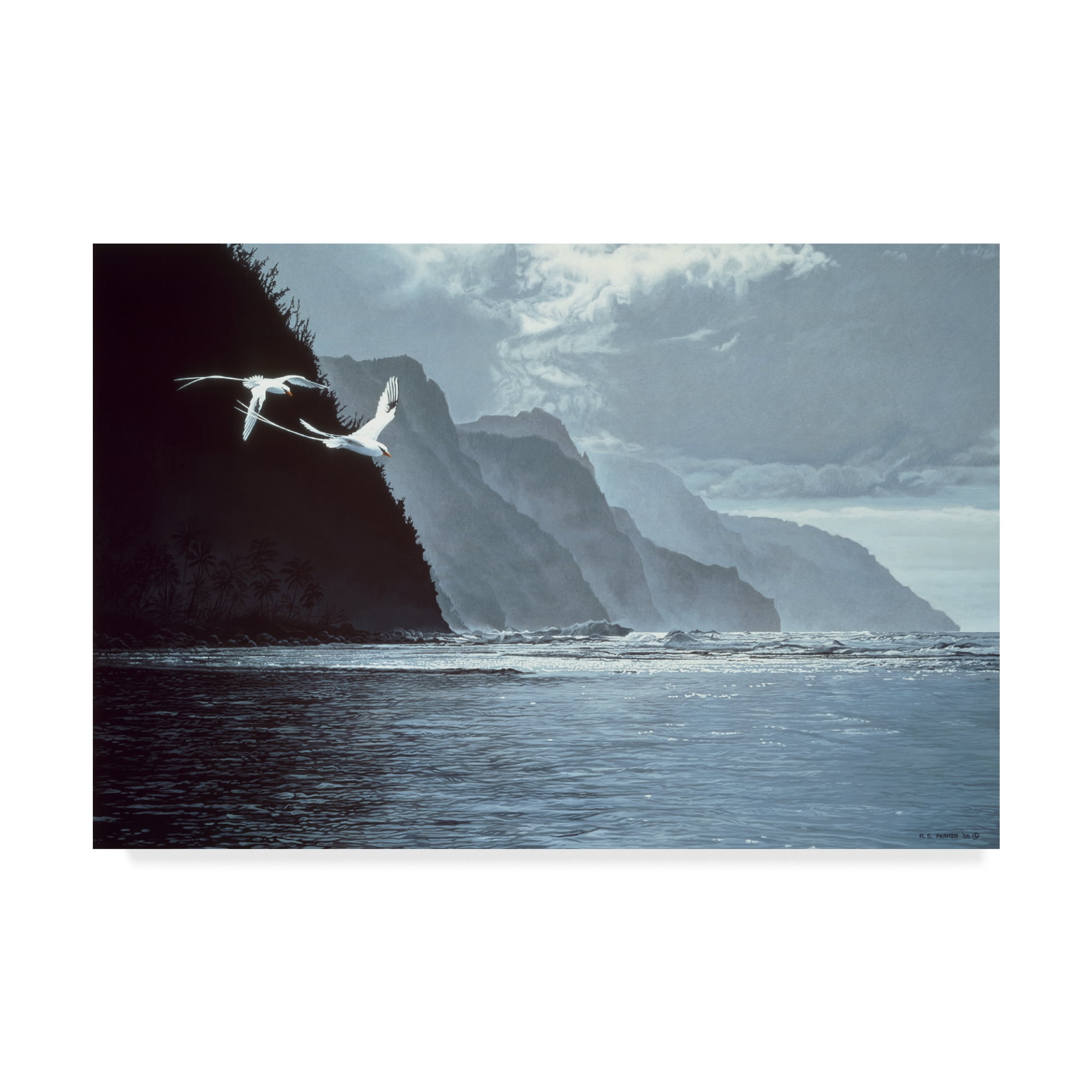 Trademark Fine Art 'White Tailed Tropic Birds' Canvas Art by Ron Parker