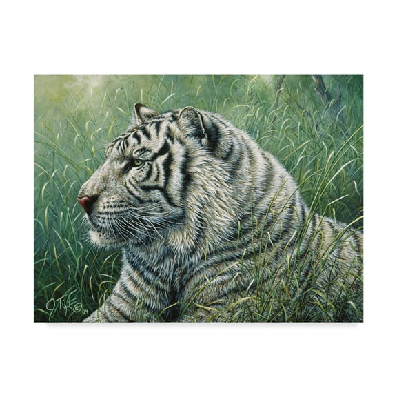 Trademark Fine Art 'White Tiger' Canvas Art by Jeff Tift