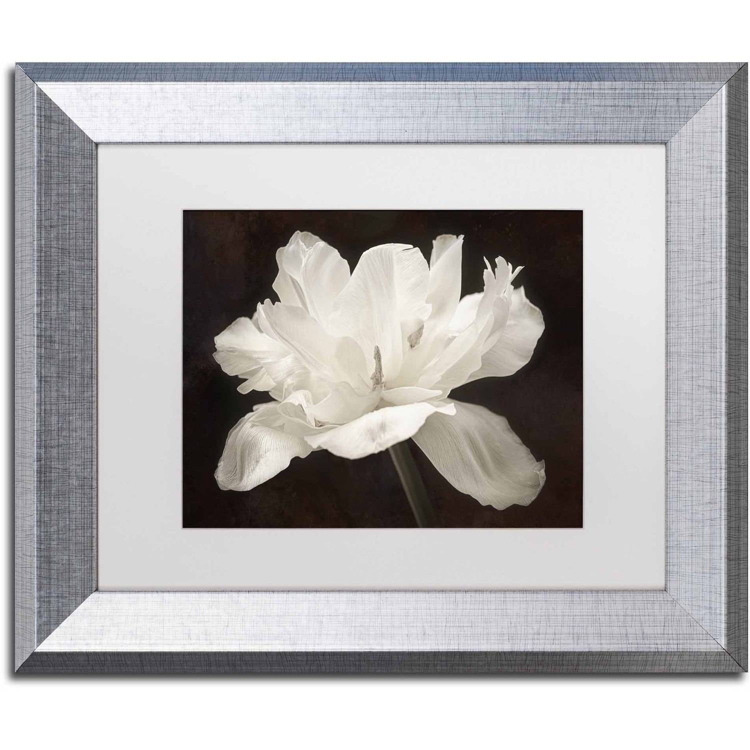 Trademark Fine Art 'White Tulip I' Canvas Art by Cora Niele, White Matte, Silver Frame