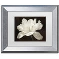thumbnail image 1 of Trademark Fine Art 'White Tulip I' Canvas Art by Cora Niele, White Matte, Silver Frame, 1 of 1