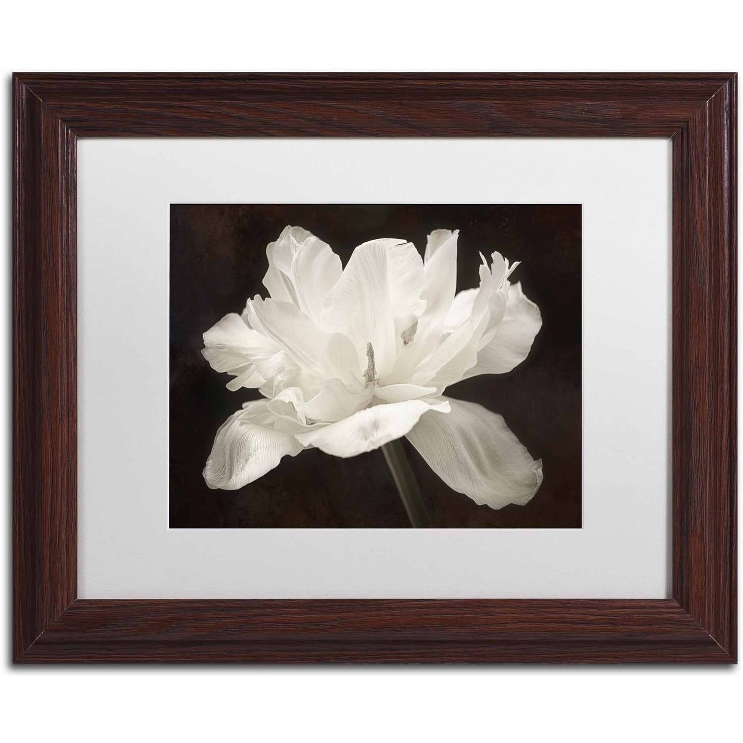 Trademark Fine Art 'White Tulip I' Canvas Art by Cora Niele, White Matte, Wood Frame