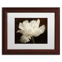 Trademark Fine Art 'White Tulip II' Canvas Art by Cora Niele, White Matte, Wood Frame