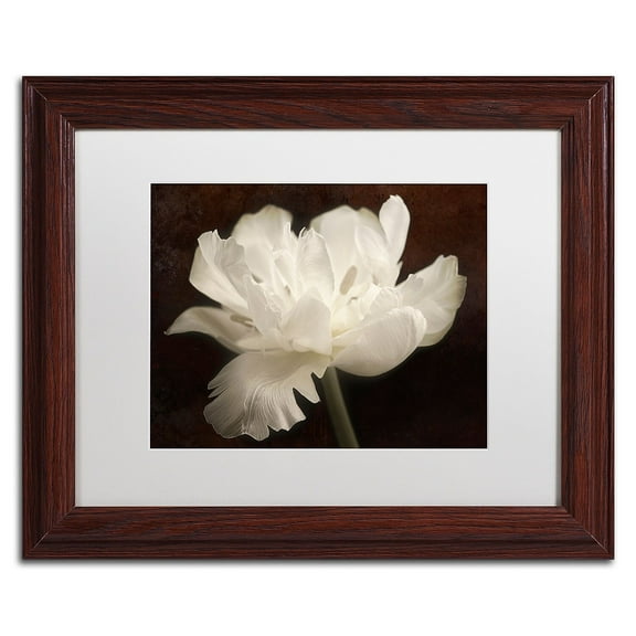 Trademark Fine Art 'White Tulip II' Canvas Art by Cora Niele, White Matte, Wood Frame