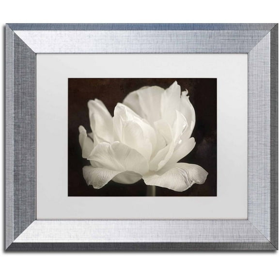 Trademark Fine Art 'White Tulip III' Canvas Art by Cora Niele, White Matte, Silver Frame