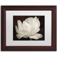 thumbnail image 1 of Trademark Fine Art 'White Tulip III' Canvas Art by Cora Niele, White Matte, Wood Frame, 1 of 4