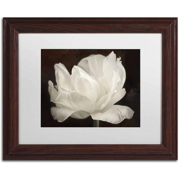 Trademark Fine Art 'White Tulip III' Canvas Art by Cora Niele, White Matte, Wood Frame
