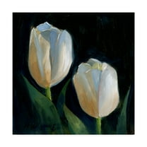 Trademark Fine Art 'White Tulips Black' Canvas Art by Hall Groat Ii