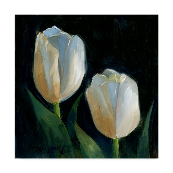 Trademark Fine Art 'White Tulips Black' Canvas Art by Hall Groat Ii