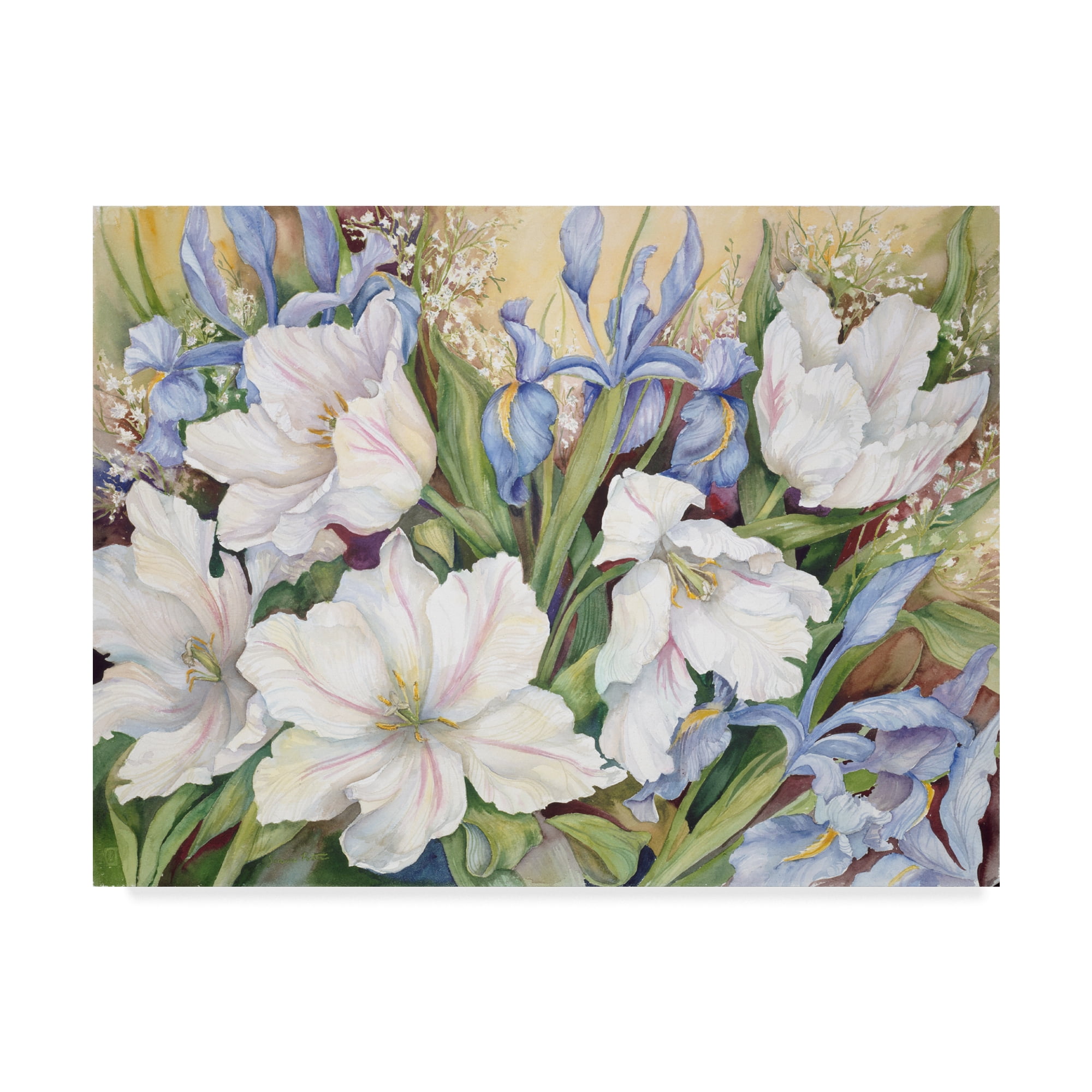 Trademark Fine Art 'White Tulips Blue Iris' Canvas Art by Joanne Porter