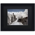 thumbnail image 1 of Trademark Fine Art "White Wall II" Canvas Art by Philippe Hugonnard, Black Matte, Black Frame, 1 of 4