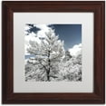 thumbnail image 1 of Trademark Fine Art "White Wall X" Canvas Art by Philippe Hugonnard, White Matte, Wood Frame, 1 of 4