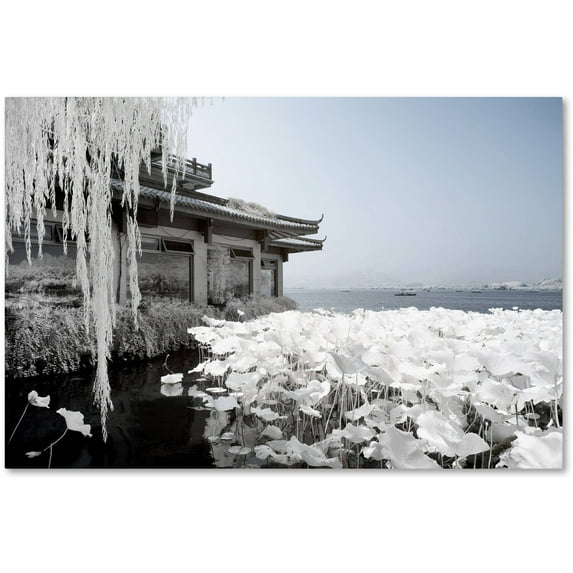 Trademark Fine Art "White Winter" Canvas Art by Philippe Hugonnard