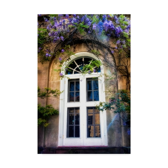 Trademark Fine Art 'White Wisteria' Canvas Art by Danny Head