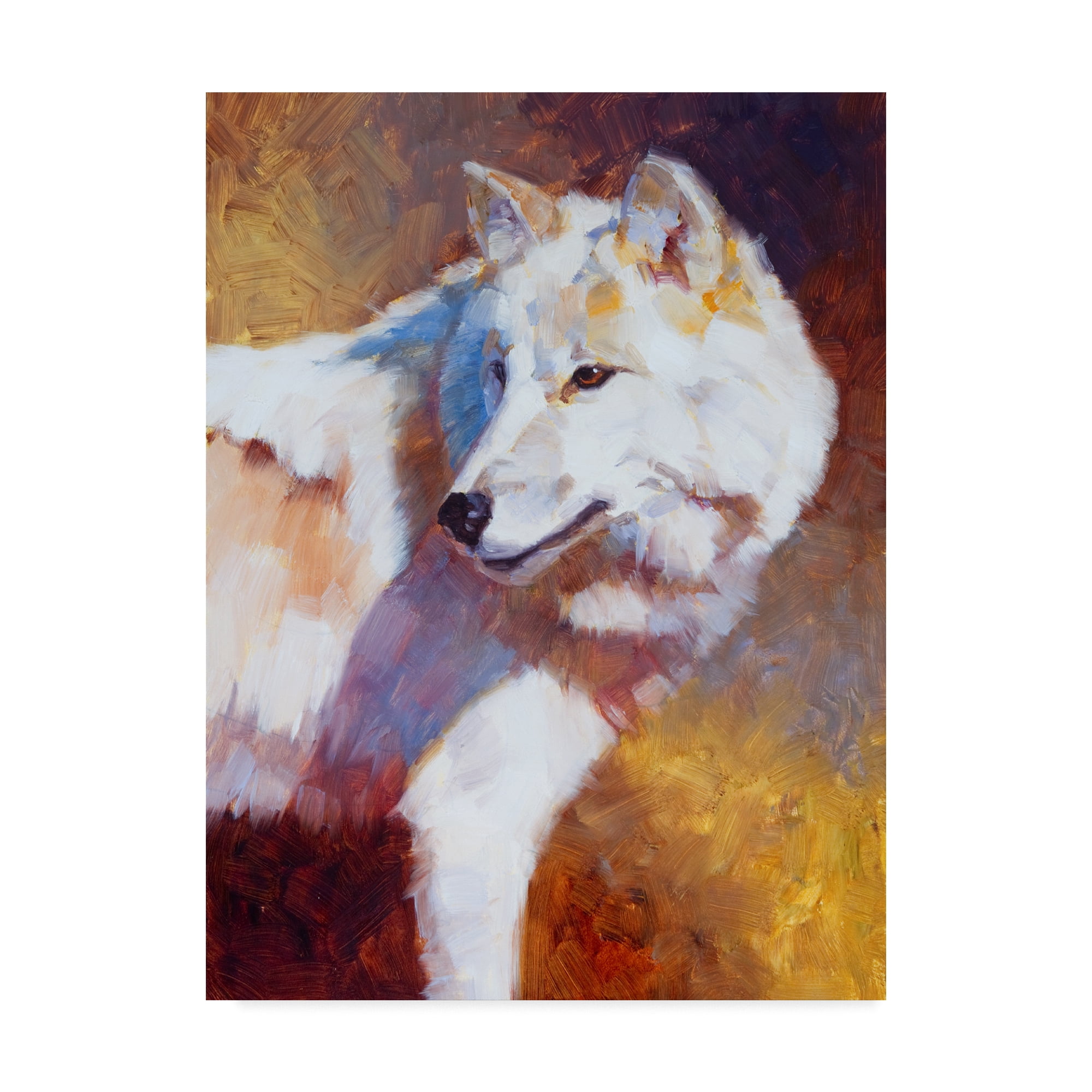 Trademark Fine Art 'White Wolf Color' Canvas Art by Julie T. Chapman