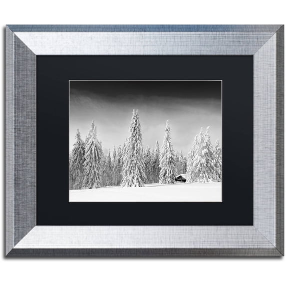 Trademark Fine Art "White World" Canvas Art by Philippe Sainte-Laudy, Black Matte, Silver Frame