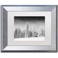thumbnail image 1 of Trademark Fine Art "White World" Canvas Art by Philippe Sainte-Laudy, White Matte, Silver Frame, 1 of 4