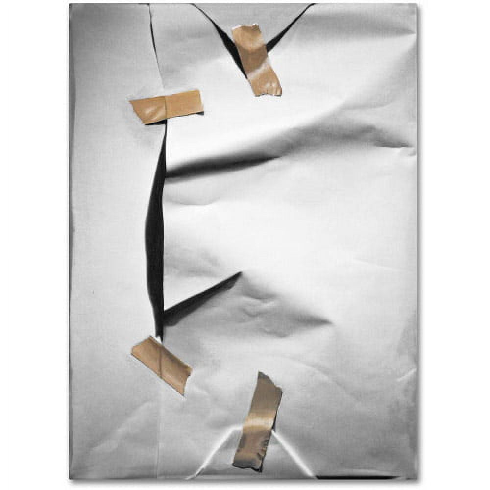 White Wrap Canvas Art by Roderick Stevens, 19" x 19"