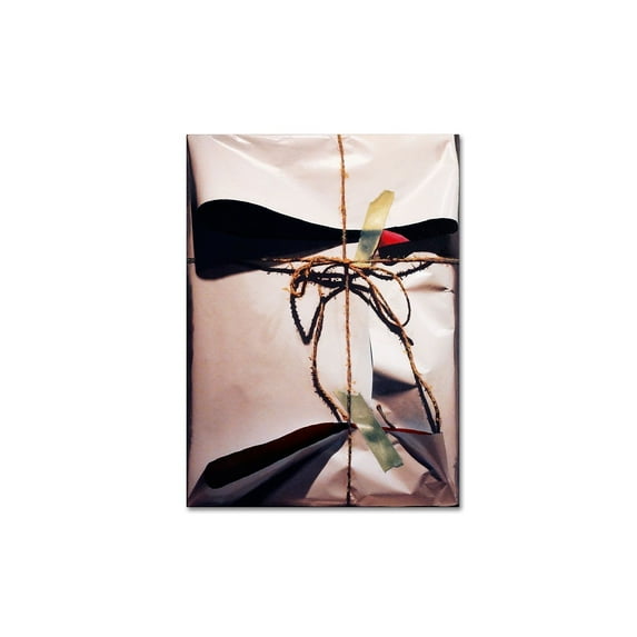 Trademark Fine Art "White Wrap With Twine" Canvas Art by Roderick Stevens