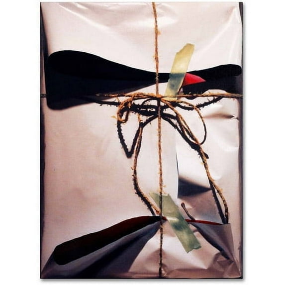 Trademark Fine Art "White Wrap With Twine" Canvas Art by Roderick Stevens