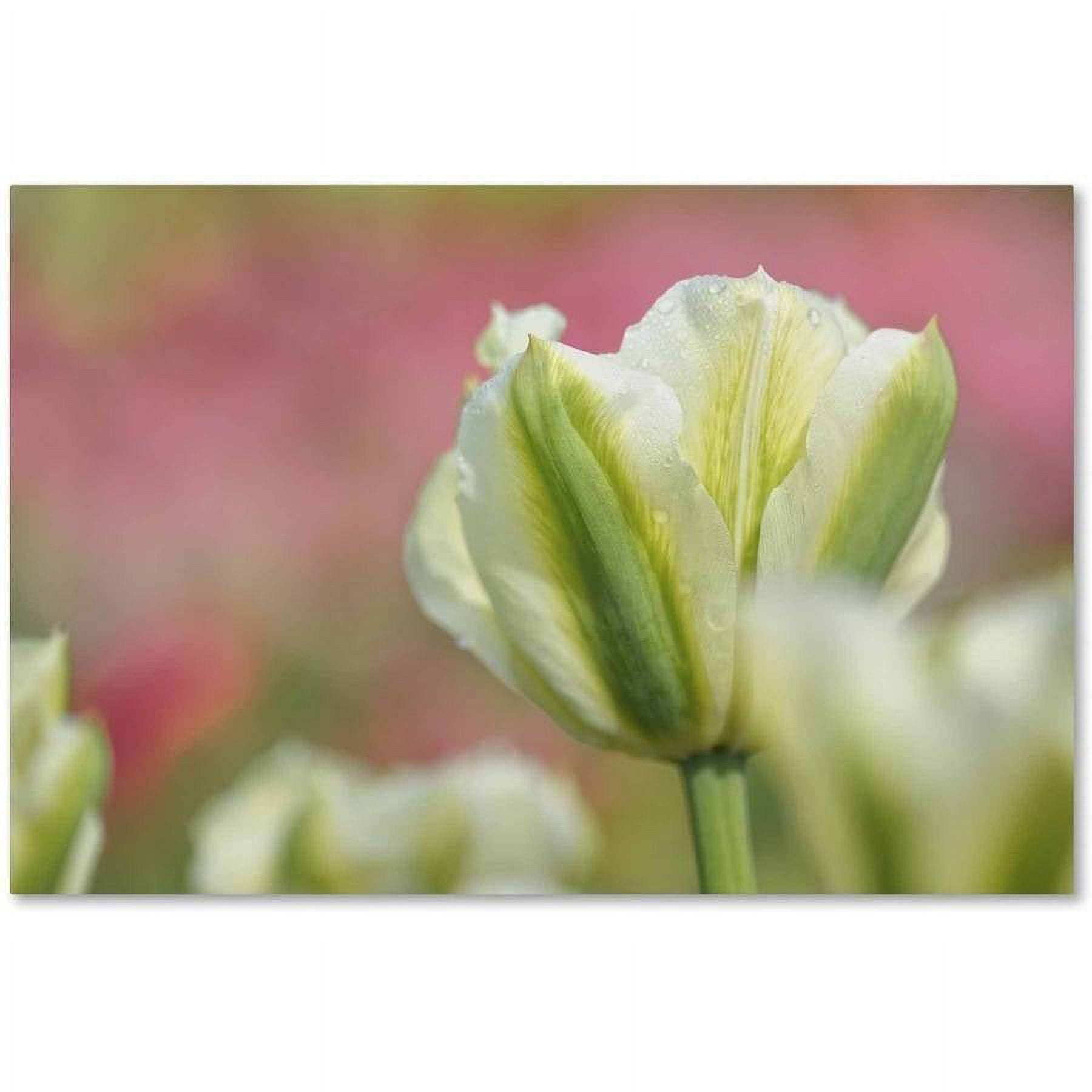 White and Green Tulip Abstract Canvas Art with Hidden Frame