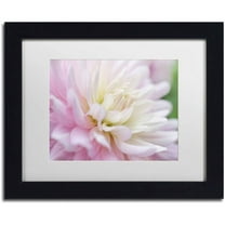 Trademark Fine Art 'White and Pink Dahlia' Canvas Art by Cora Niele, White Matte, Black Frame