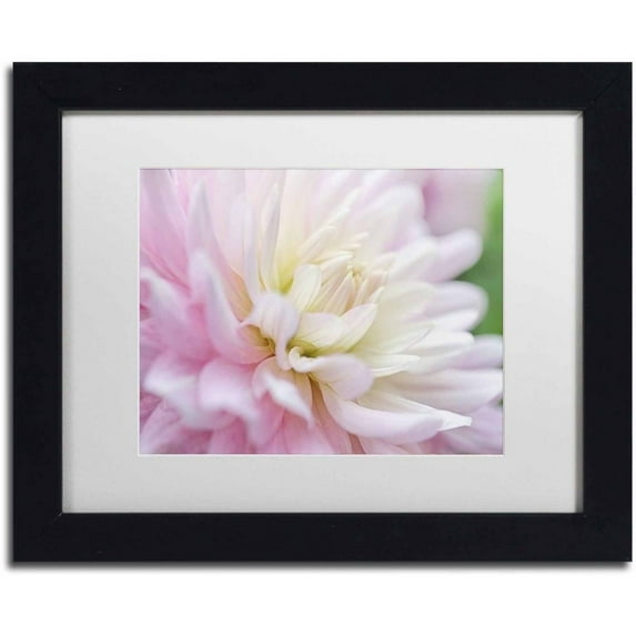 Trademark Fine Art 'White and Pink Dahlia' Canvas Art by Cora Niele, White Matte, Black Frame