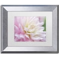 thumbnail image 1 of Trademark Fine Art 'White and Pink Dahlia' Canvas Art by Cora Niele, White Matte, Silver Frame, 1 of 1