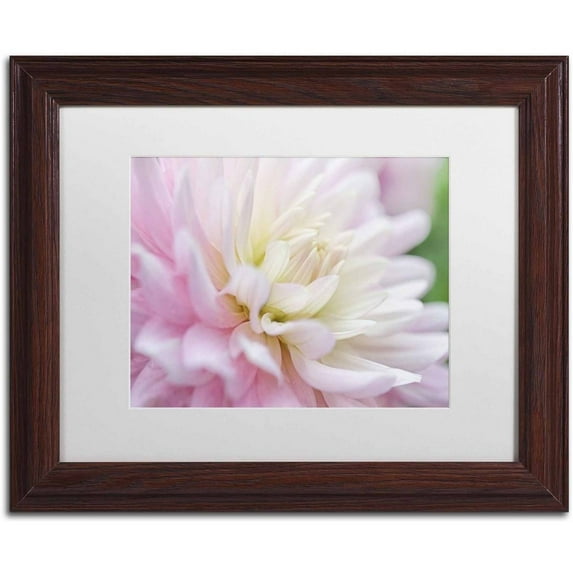 Trademark Fine Art 'White and Pink Dahlia' Canvas Art by Cora Niele, White Matte, Wood Frame