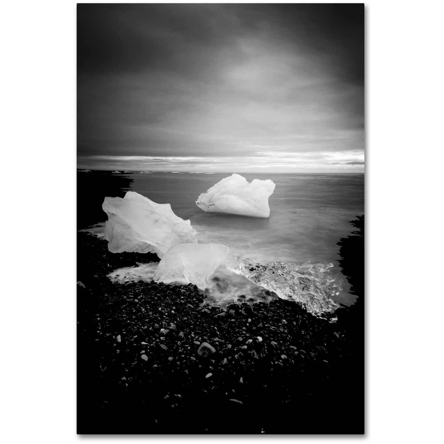 Trademark Fine Art 'White as Ice' Canvas Art by Philippe Sainte-Laudy