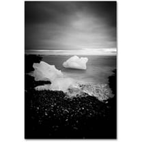 Trademark Fine Art 'White as Ice' Canvas Art by Philippe Sainte-Laudy