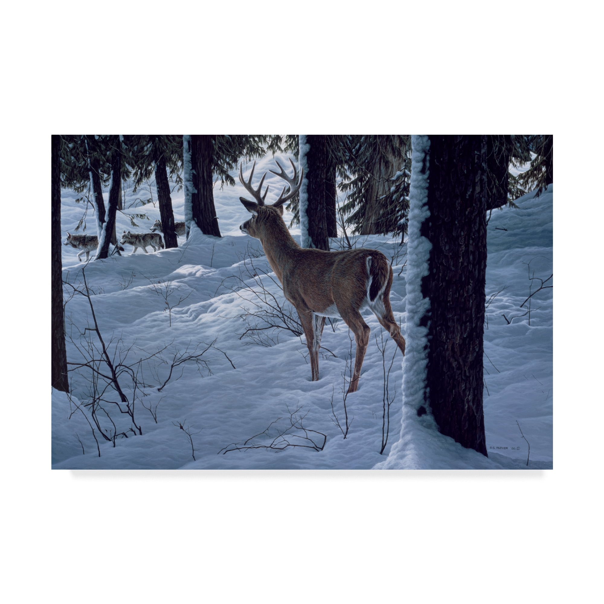 Trademark Fine Art 'Whitetail And Wolves' Canvas Art by Ron Parker