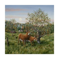 Trademark Fine Art 'Whitetails Under The Apple Tree' Canvas Art by Jeff Tift