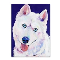 Trademark Fine Art "Whitey" Canvas Art by Pat Saunders-White