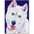 thumbnail image 1 of Trademark Fine Art "Whitey" Canvas Art by Pat Saunders-White, 1 of 4