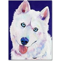 Trademark Fine Art "Whitey" Canvas Art by Pat Saunders-White