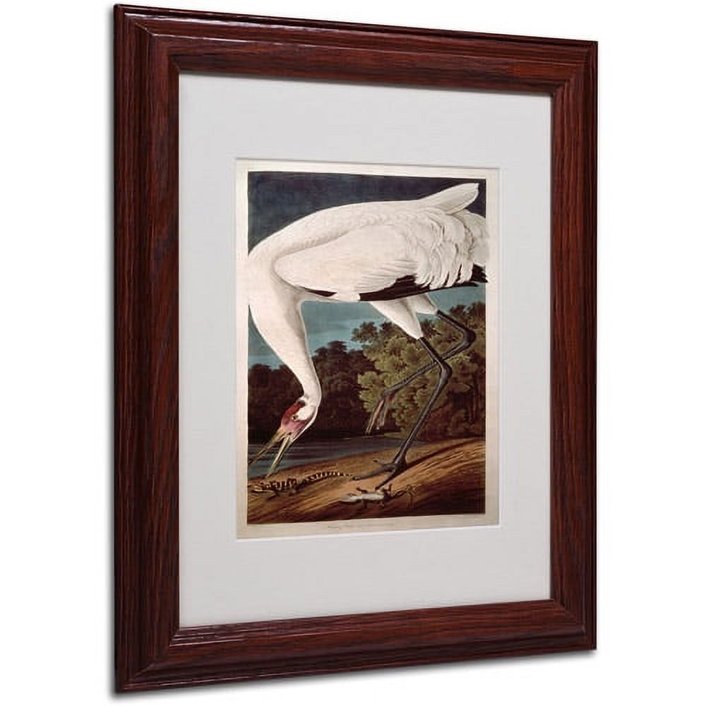 Trademark Fine Art "Whooping Crane" Canvas Art by John James Audubon, Wood Frame