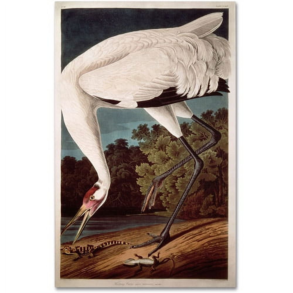 Large White and Green Framed Whooping Crane Canvas Art