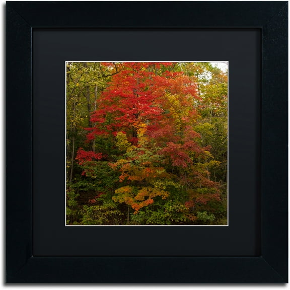 Trademark Fine Art "Why I Love Autumn 2" Canvas Art by Kurt Shaffer, Black Matte, Black Frame