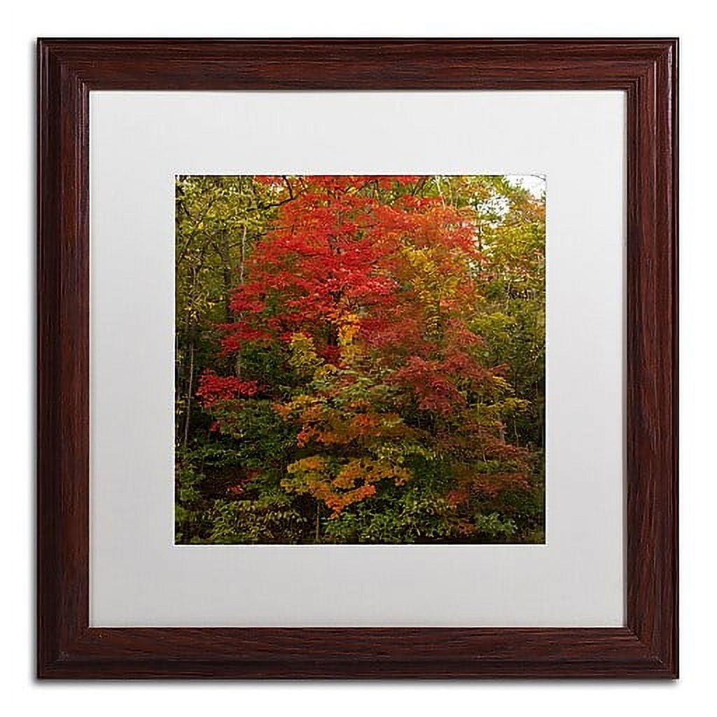 Trademark Fine Art "Why I Love Autumn 2" Canvas Art by Kurt Shaffer, White Matte, Wood Frame