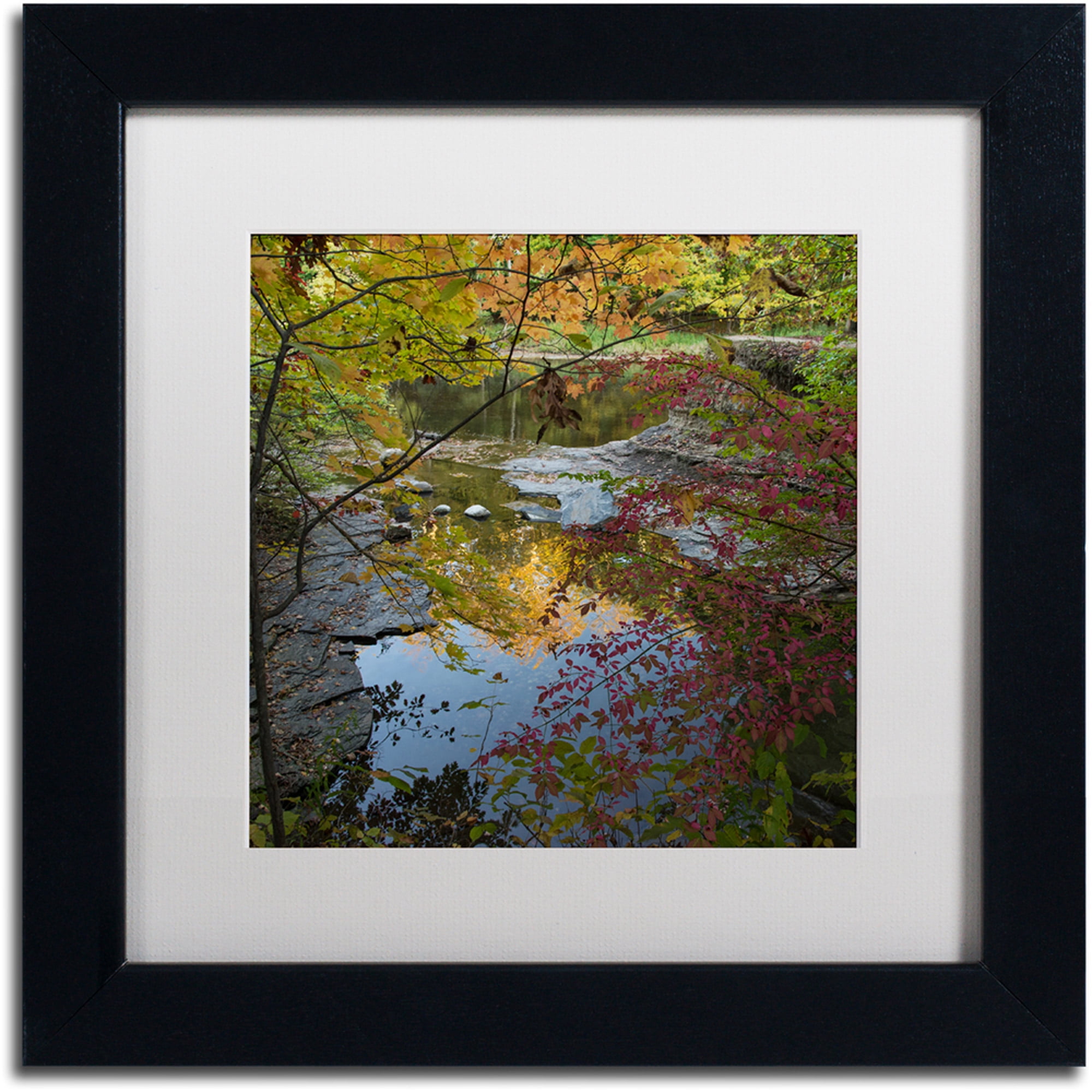 Autumn Trees Over Pond Framed Canvas Art with Black Frame