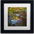 thumbnail image 1 of Trademark Fine Art "Why I Love Autumn 3" Canvas Art by Kurt Shaffer, White Matte, Black Frame, 1 of 4