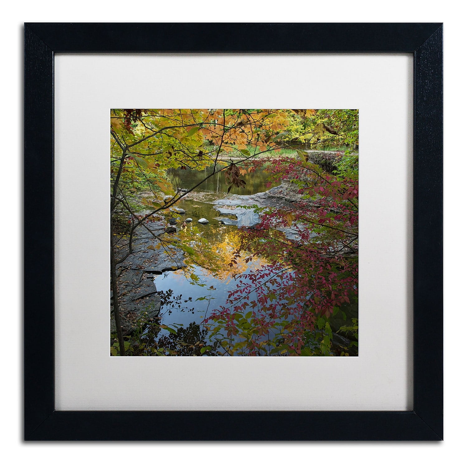 Trademark Fine Art "Why I Love Autumn 3" Canvas Art by Kurt Shaffer, White Matte, Black Frame