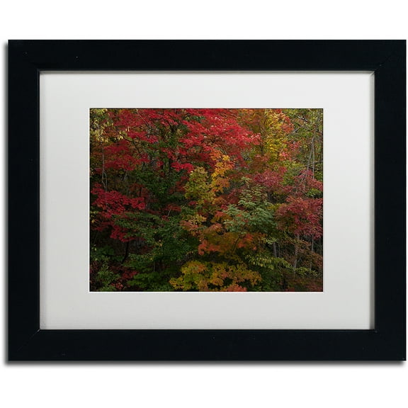 Trademark Fine Art "Why I Love Autumn" Canvas Art by Kurt Shaffer, White Matte, Black Frame