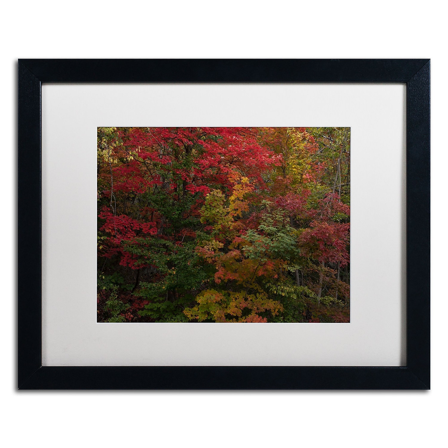 Trademark Fine Art "Why I Love Autumn" Canvas Art by Kurt Shaffer, White Matte, Black Frame