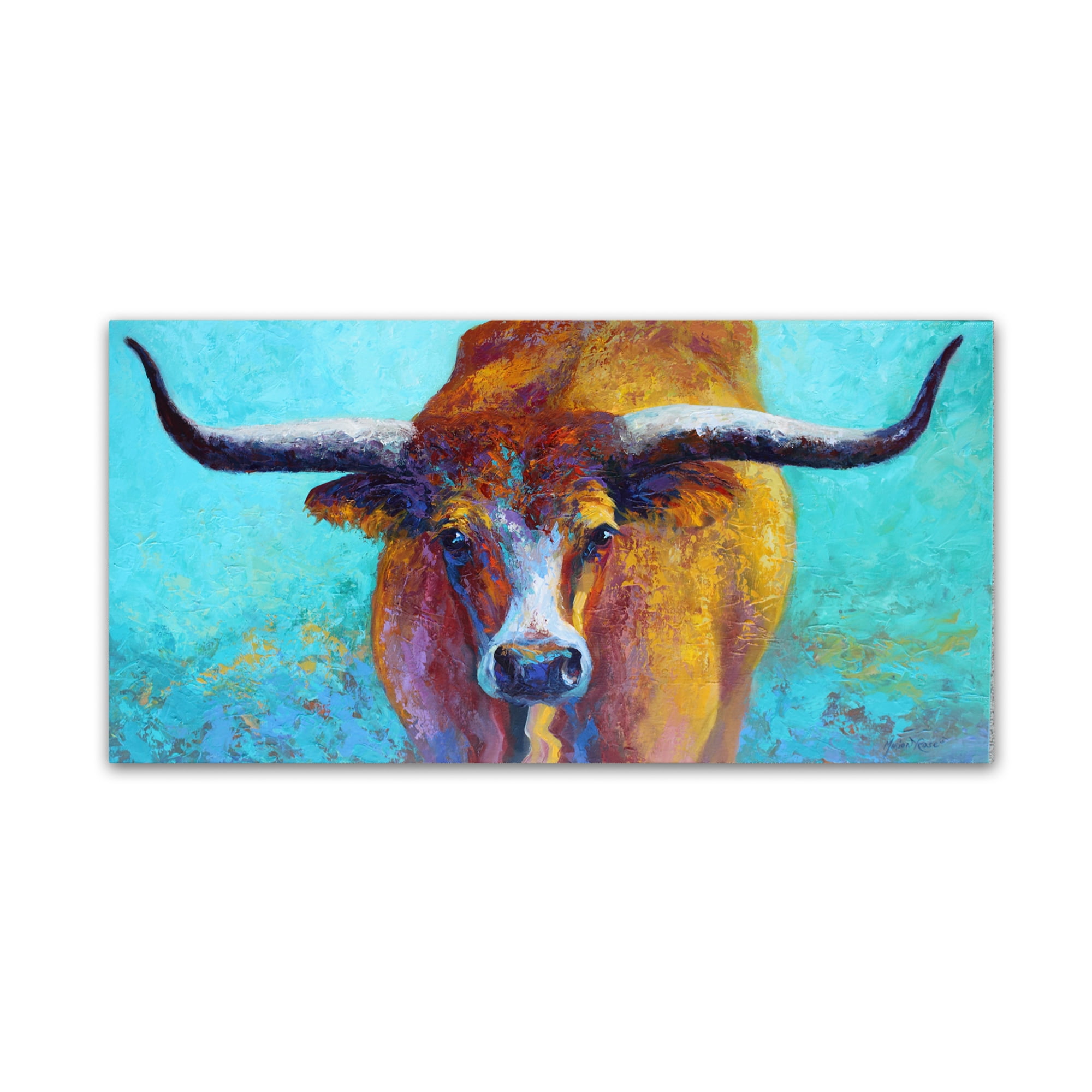Trademark Fine Art 'Wide Spread' Canvas Art by Marion Rose
