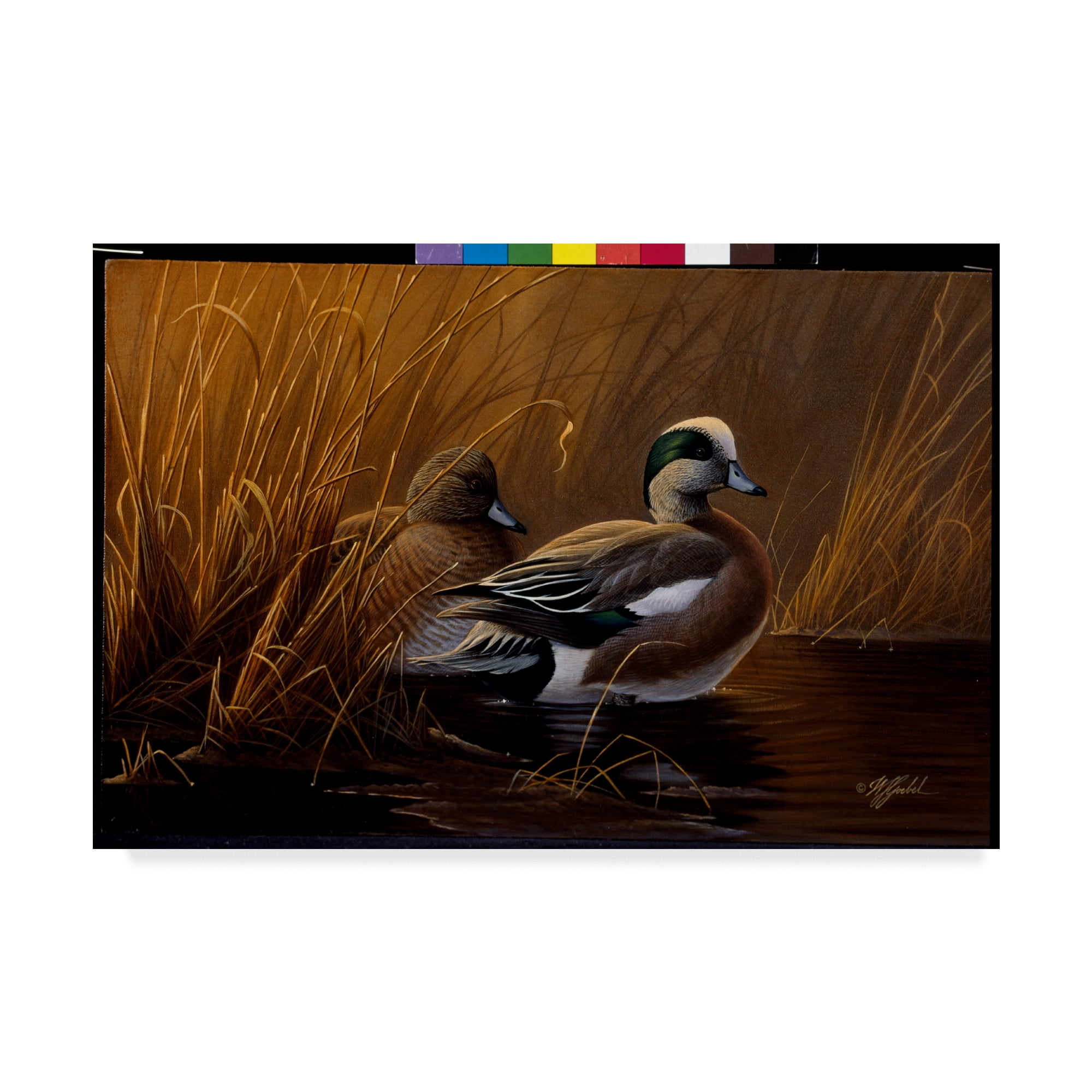 Trademark Fine Art 'Widgeon In The Grass' Canvas Art by Wilhelm Goebel